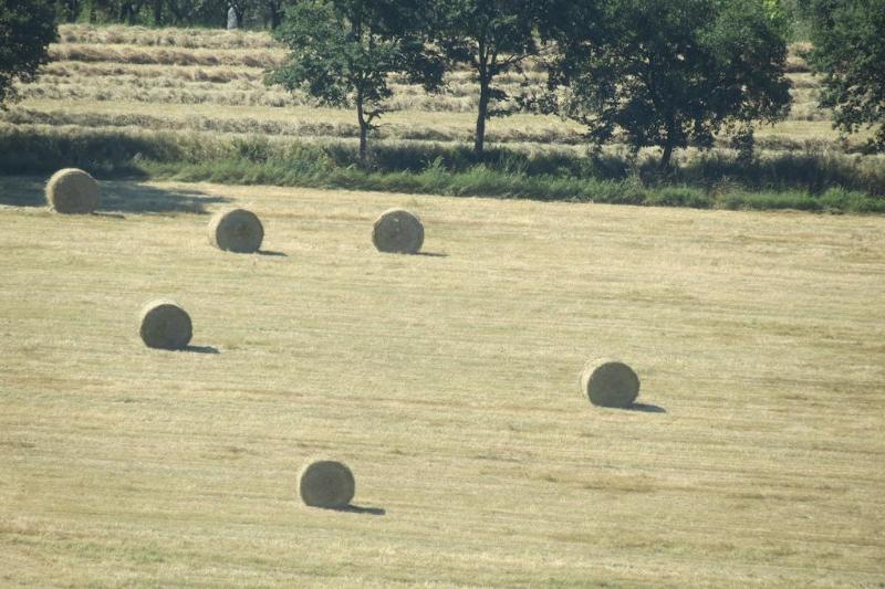 Il Gelso Nero Villa Castelnuovo di Farfa Bagian luar foto